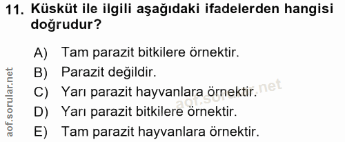 Soru 11