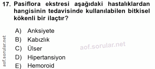 Soru 17