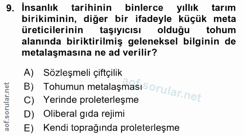 Soru 9