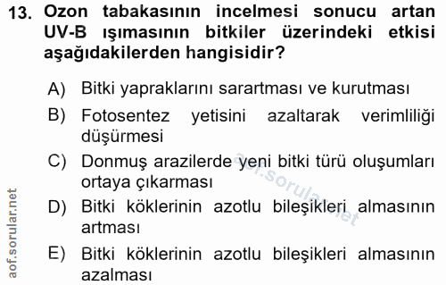 Soru 13