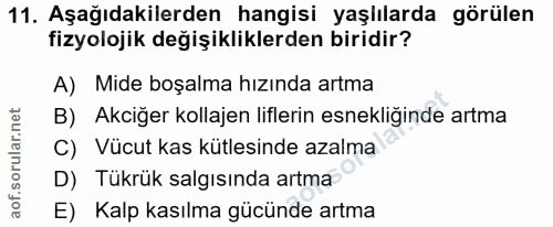 Soru 11