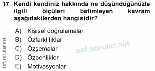 Soru 17
