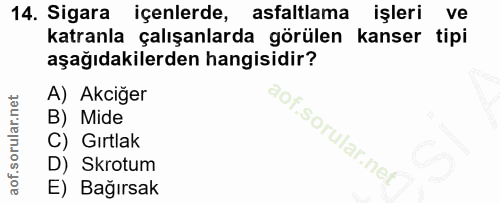 Soru 14