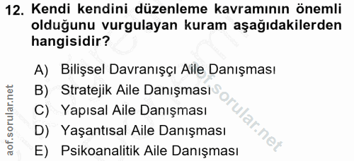 Soru 12