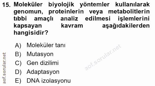 Soru 15