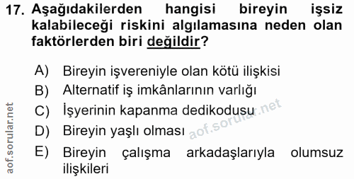 Soru 17