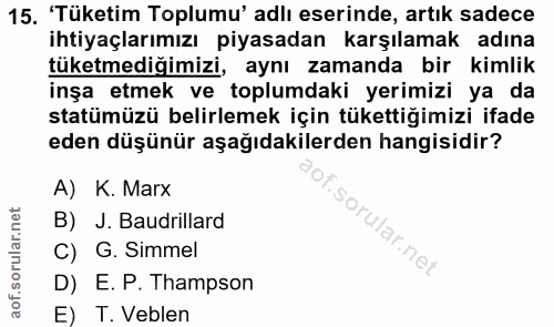 Soru 15