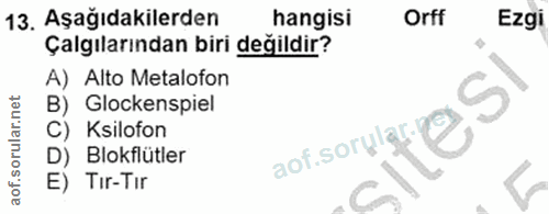 Soru 13