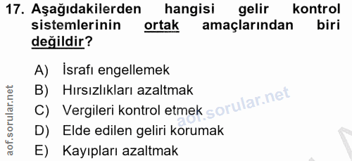 Soru 17