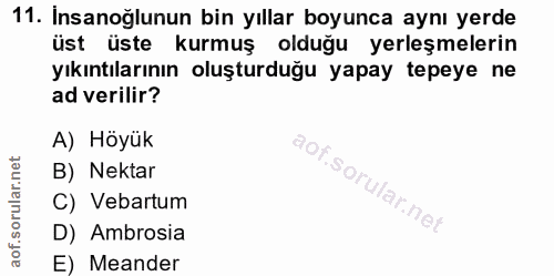 Soru 11