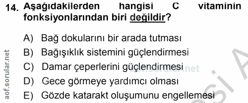 Soru 14