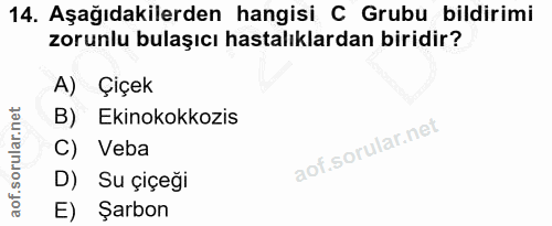 Soru 14