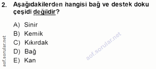 Soru 2