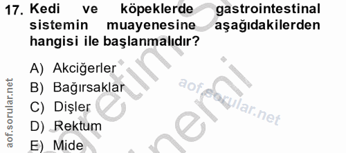 Soru 17