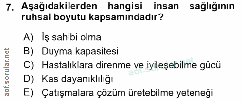 Soru 7