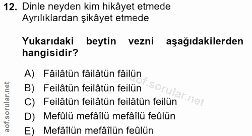 Soru 12
