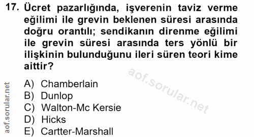 Soru 17