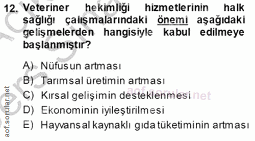 Soru 12