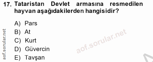 Soru 17