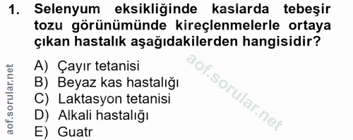Soru 1