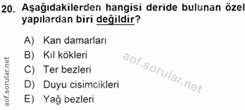 Soru 20