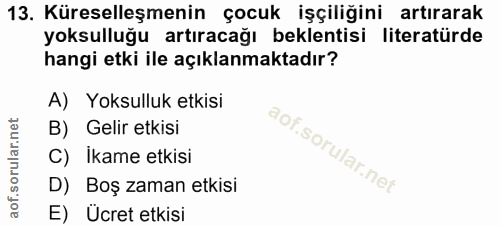 Soru 13