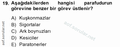 Soru 19