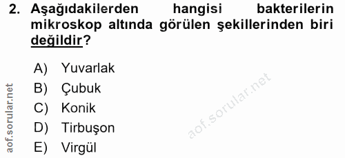 Soru 2