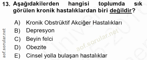 Soru 13