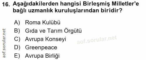 Soru 16