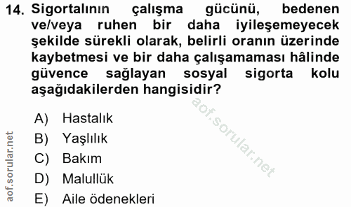 Soru 14