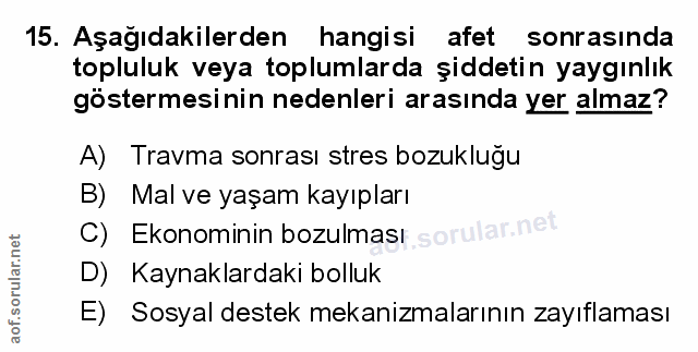 Soru 15