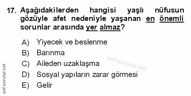 Soru 17