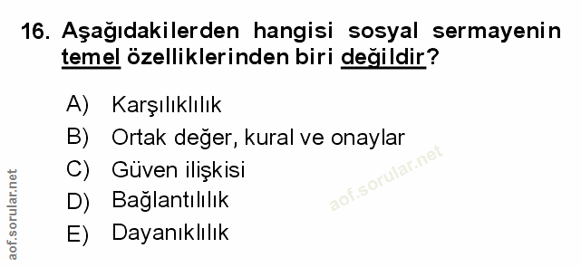 Soru 16