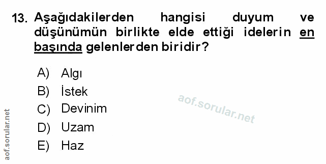 Soru 13