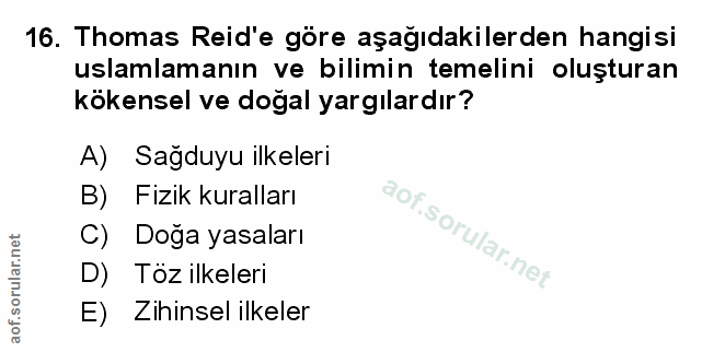Soru 16