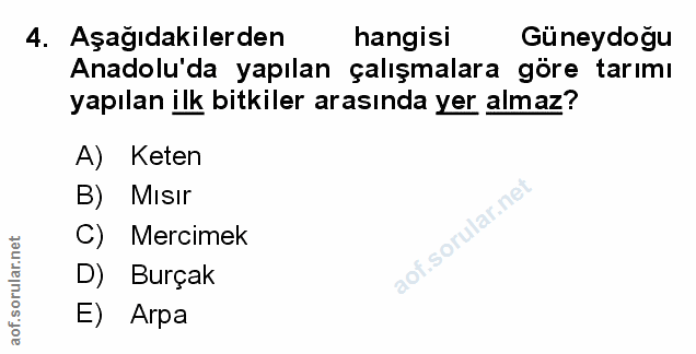 Soru 4