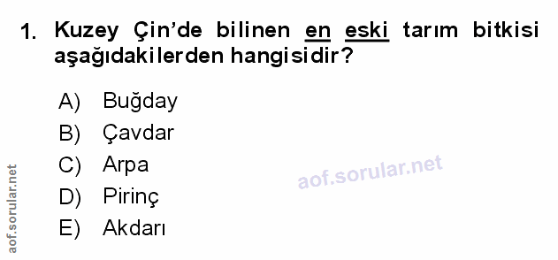 Soru 1