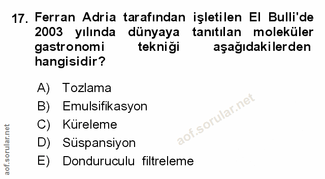 Soru 17