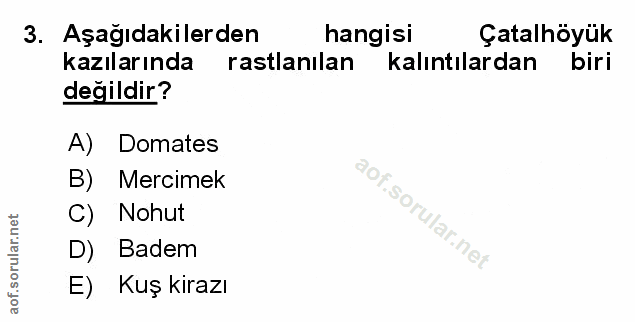 Soru 3