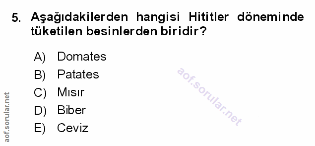 Soru 5