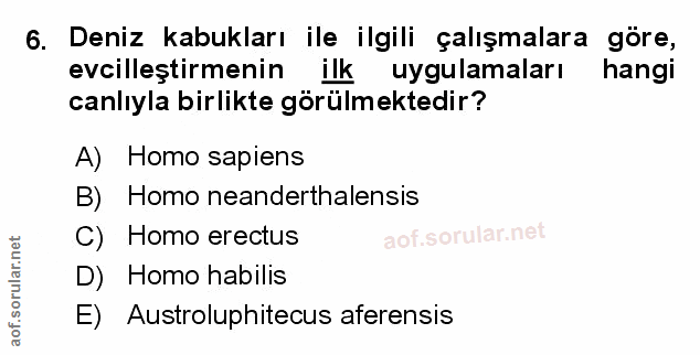 Soru 6