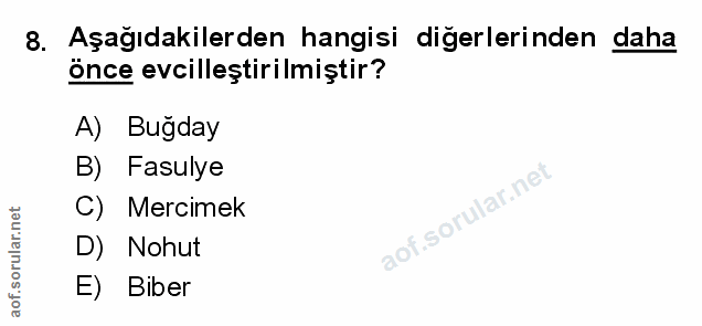 Soru 8