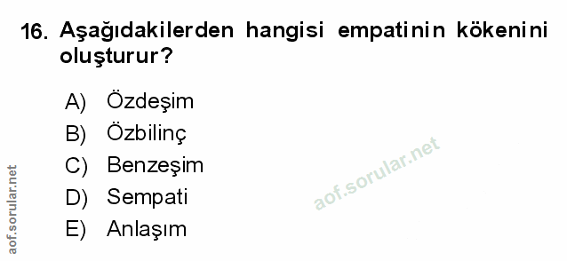 Soru 16