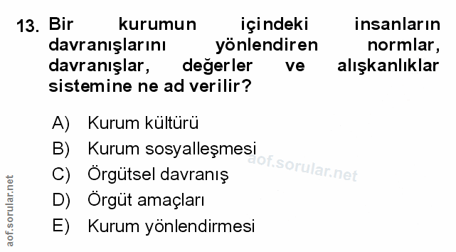 Soru 13