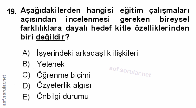 Soru 19