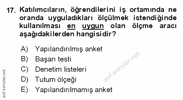 Soru 17