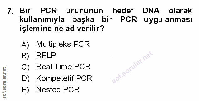 Soru 7