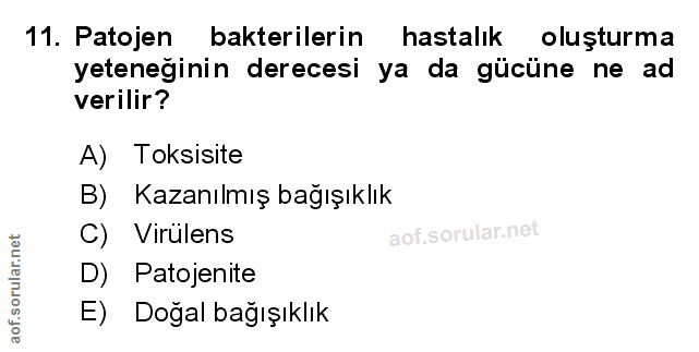 Soru 11