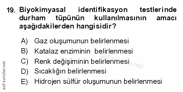 Soru 19